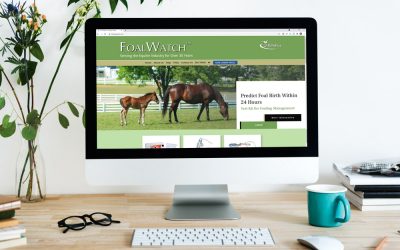 New Website for FoalWatch